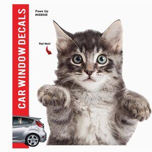 *NEW* Funny Cat Car Window Decal - Paws Up 10.75" High